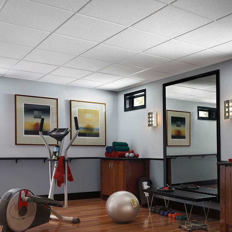 Popular Ceilings for Renovations